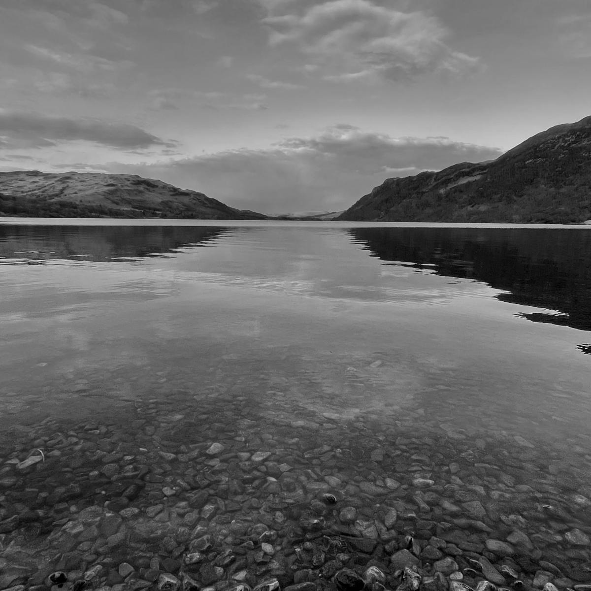 REFLECTIONS ON THE PAST ONE YEAR.